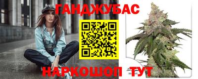 молекула духа Партизанск